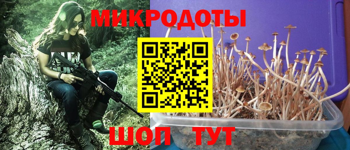 Ижевск  Галлюциногенные грибы прущие грибы  Вход с VPN  Псилоцибиновые грибы GOLDEN TEACHER 